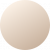 Xpeng P7 beige
